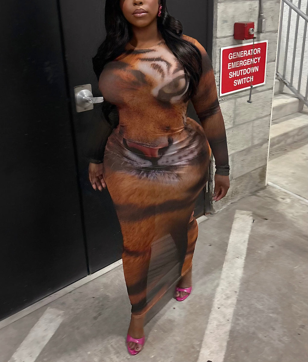Tiggy Mesh Dress